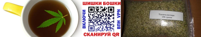 купить   Ясногорск  Cannafood конопля 