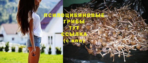 амф Балабаново