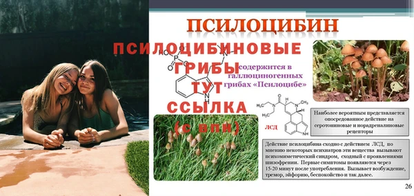 apvp Балахна