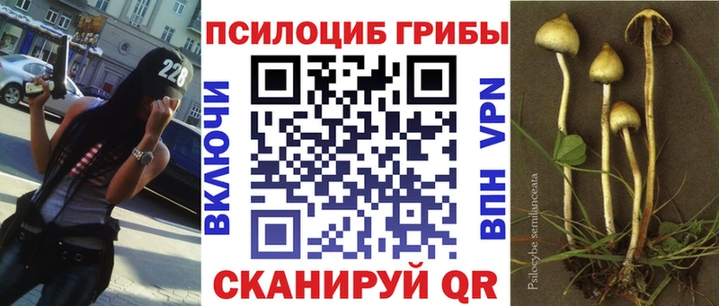 Псилоцибиновые грибы ЛСД  гидра как зайти  Ясногорск 